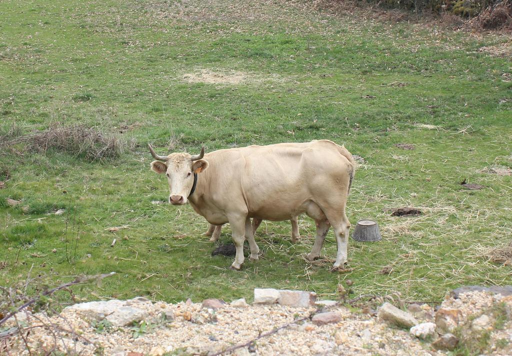 Casa Rural La Calzada El Payo Exteriér fotografie